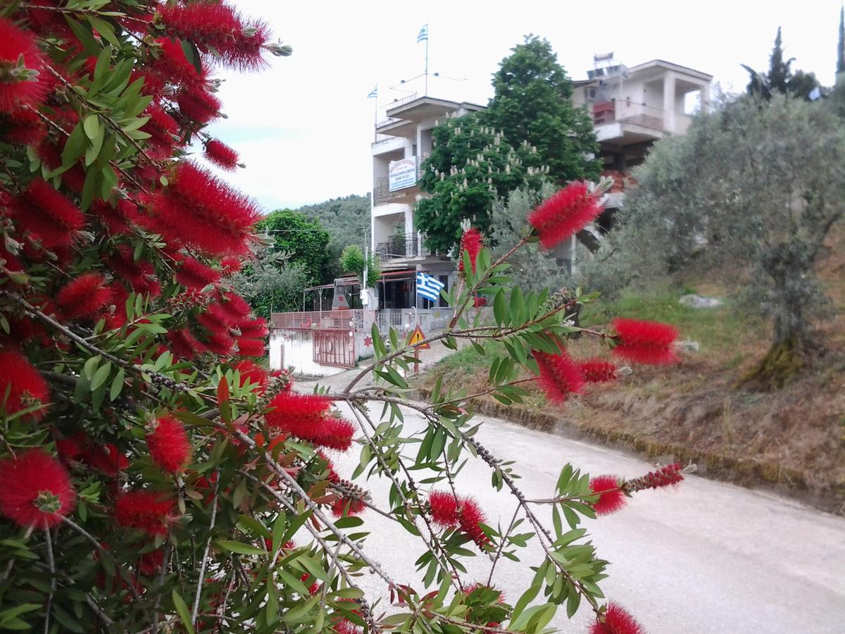 Theoxenia Apartment Pteleos Bagian luar foto
